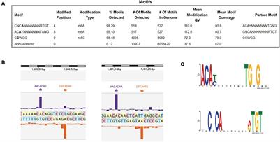 Characterization of BisI Homologs